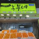 우리농수산 | 제주 귤쇼핑 필수코스│농부네농수산 내돈내산 후기