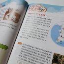 한쌤공부방 네이버블로그