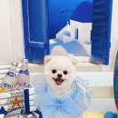 루앤몽 네이버블로그