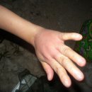 살구정이 이미지