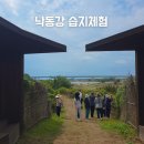 하단동1195 이미지