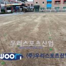 신북초등학교 이미지