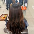 컨셉비(B)미용실 | [청담동 미용실] 비오른헤어 청담점: 고도희 부원장님 - 뿌리염색 후기