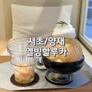 부흥상회 | 양재천 빙수 맛집 카페 엘빙할루카 2번째 방문 복숭아빙수 망고빙수 후기 feat.주차 정보