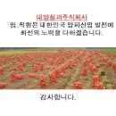 거창청과 이미지