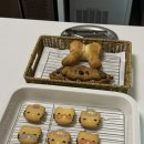 카페그로브