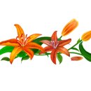 생활 역학 이미지