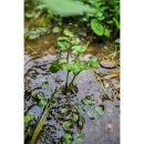 항동푸른도서관 이미지