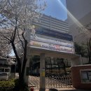 성서씨엘의원