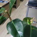 삼창모터스 이미지