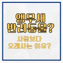 금강동물병원 | 앵무새가 반려동물이라고? 사람보다 오래 사는 이유는?
