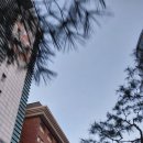 콘트라베이스 | 콘트라베이스 협주곡 관람후기