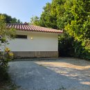 비앤비 | 오키나와 비세자키 에어비앤비 후기 │ 해변 5분, 스노쿨링 최적 숙소 베테이타치