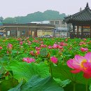 완주 송광사 관광안내소 이미지