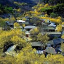 산서초 앞 이미지