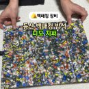 니모디자인 | 백패킹 등산 접이식 경량 방석 추천 니모 치퍼 실사용 후기
