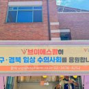 브이에스팜