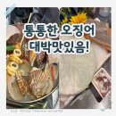 통통오징어 | 서울 발산 횟집, 술집 추천 [통통한 오징어] 내돈내산 후기