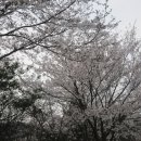 지경수가든 이미지