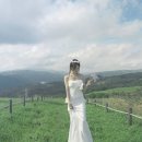 구도목장 | 하늘목장 셀프웨딩촬영 후기｜자연광 하나로 완성한 강원도 웨딩스냅