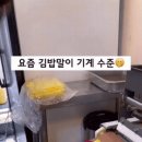 요즘 김밥말이 기계 수준 이미지