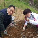 행복샘농장 이미지