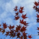 뒷구미 어린이공원 이미지