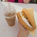 조치원버스터미널 | 세종시 조치원복숭아 🍑 여름축제 가서 아무것도 못하고 온 억까 후기