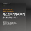 세스코라이프케어