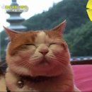 상귀농장