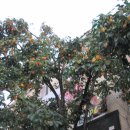 원주종합운동장 이미지