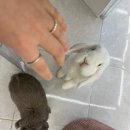 베리스튜디오 이미지