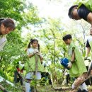 유한양행 이미지