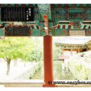 순천-59호 이미지