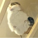 뚠뚠 - 서귀포시 | 뚠뚠