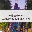 시드니 연말 여행 필수 코스 | 마틴 플레이스 크리스마스 트리 방문 후기