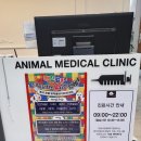 데일리 동물의료센터 이미지