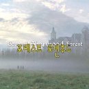 (미개봉)-포레스트 로빈후드 (Forest Robin Hood)- 액션, 모험, SFㅣ93분 이미지