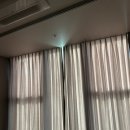 피자디오