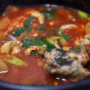 동백아나고 Daum카페