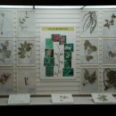 충남대학교 자연사박물관 이미지