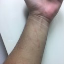 충만한우농장 이미지