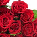 용인대 부부태권도장 이미지