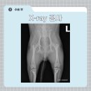 조양래 동물의료센터 이미지