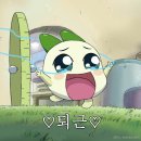 둥근 해 미친 거 또 떴네