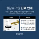 파주탈모병원 탈모치료 초기가 중요한 이유는?