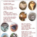 소라 이미지