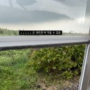 사랑마을어린이집 | 2025 제주도 21일차 ; 제주레일바이크, 제주동화마을(송당), 제주오름밥상, 과일이네, 마미포유4