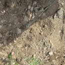 고려약업사 이미지