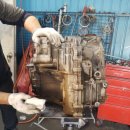 정인호오토 이미지